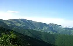 نمایی از  جنگل خداآفرین در اواسط خرداد.