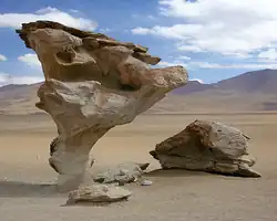 سنگی که توسط فرسایش بادی (یا فرایندهای بادی) در آلتی‌پلانو بولیوی تراشیده شده است.