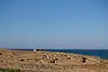 محوطهٔ باستان‌شناسی پالاماری