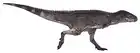 Aucasaurus garridoi