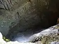 نمای نزدیک از پونور در غار Campeneasca در نزدیکی روستای Izbuc، رومانی