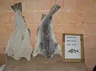 کاد خشک‌شده و نمک‌سود، تولیدشده در نروژ