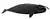 Bowhead whale illustration with an overall black body with a white patch on the jaw, and a large body