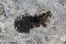 تالاب بهشت معصومه