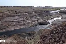 نمایی از تالاب