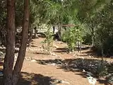 بوستان بِرِشیت