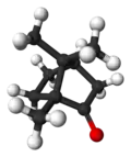 Ball and stick model of camphor ((1R,4R)-1-methyl,heptan)