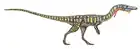 Coelophysis bauri