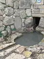 عین صطاف، ۲۰۰۹
