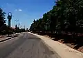 بلوار درختان انجیر در الیشاما