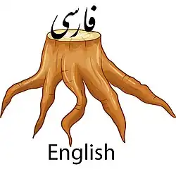 واژههای فارسی با ریشه انگلیسی