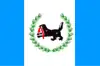 استان ایرکوتسک