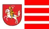 پرچم دیتمارشن