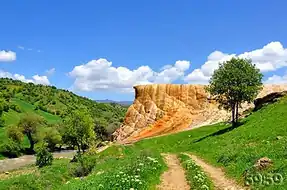 کانی گراوان