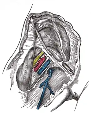 غلاف رانی جهت نمایش سه کمپارتمان باز شده است.