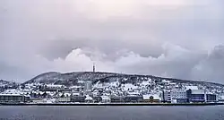نمایی از شهر