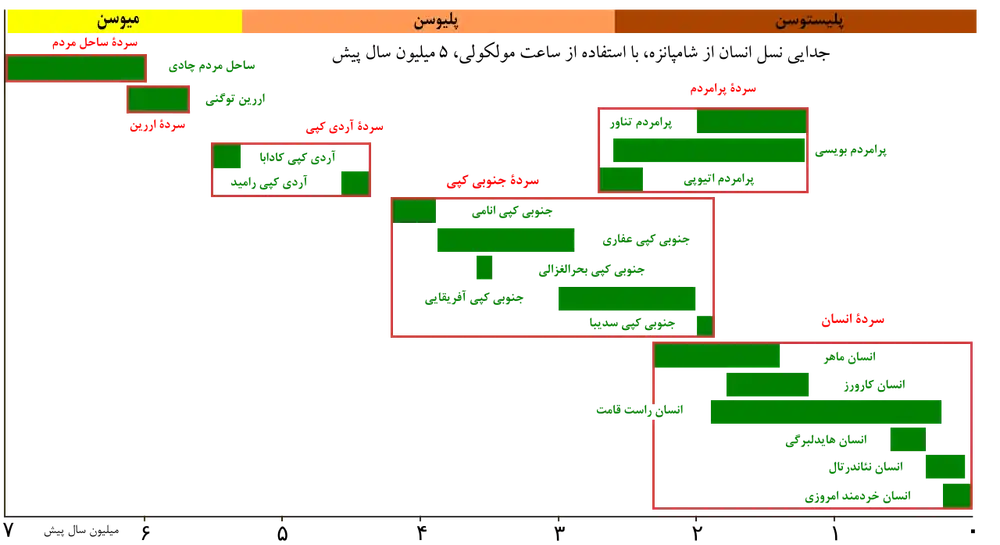 جدایی نسل انسان از شامپانزه