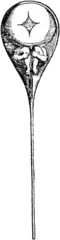 The homonculus