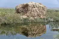 برآمدگی‌های رسوبی در آب کم‌عمق تالاب