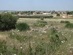 بقایای دیر طریف