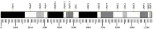 کروموزوم ۱۵ (موش)