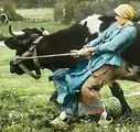 به نظر می‌رسد این گاوچران جوراب‌های پشمی ضخیم سفید و کفش‌های چرمی زیر روپوش‌های چوبی خود پوشیده است که دارای فضای خالی هستند.