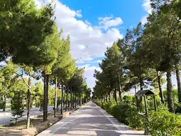 بوستان خطی سید مرتضی