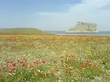 پارک ملی دریاچه ارومیه