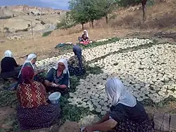 زنان کُرد در حال تهیه کشک در روستایی در ترکیه