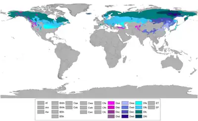 Koppen World Map D