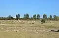 بقایای معابد باستانی در متاپونتوم (معروف به تاووله پالاتینه)