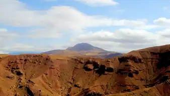 عون بن علی