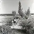 کودکان در نهورا، ۱۹۵۹
