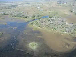 نمای هوایی از دلتای اوکاوانگو
