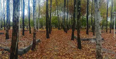منطقه نمونه گردشگری ناژوان