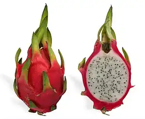 میوه اژدها، میوه استوایی از چندین کاکتوس مختلف که اصالتاً از قاره آمریکا هستند.