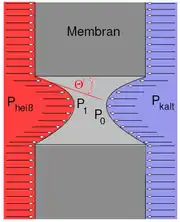 Capillary depression