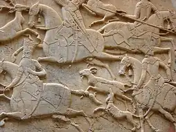 تنگه واشی