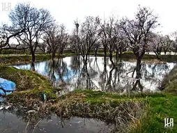 باغستان سنتی قزوین