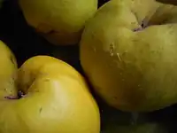 رقم روسی Aromatnaya
