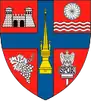 نشان Sălaj
