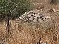 سازه ویران‌شده در خربه ذکرین