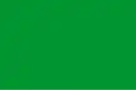 Rectangular green flag.svg