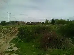 نمایی از روستا