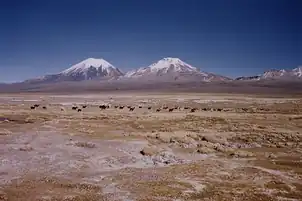 آتشفشان‌ها در پارک ملی ساجاما (پاریناکوتا و پومراپه)