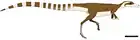 Sinosauropteryx prima
