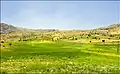 مناظر جاده شیراز - اردکان