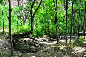 پارک ملی تندوره
