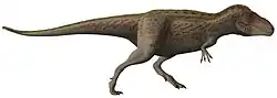Tarbosaurus bataar