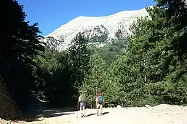 تایژتوس